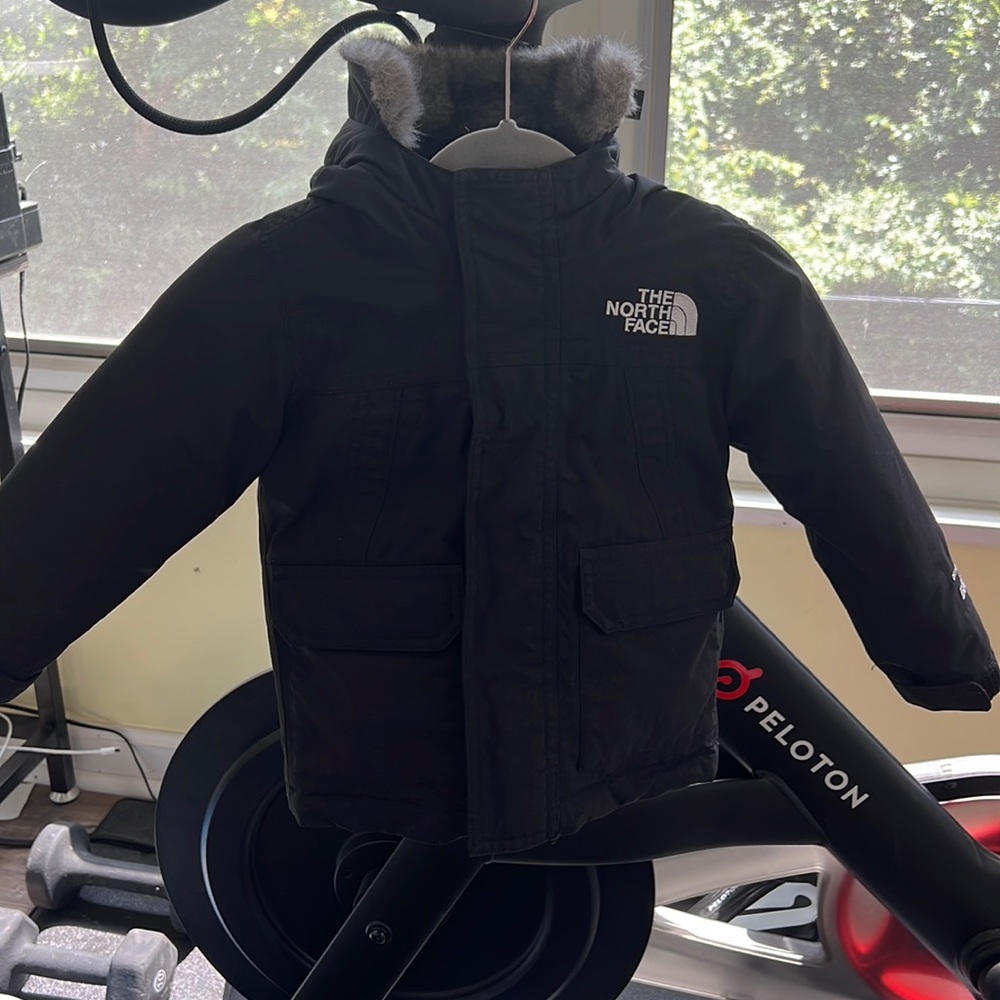Toddler Boy The North Face 550 Down Parka